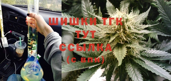шишки Алзамай