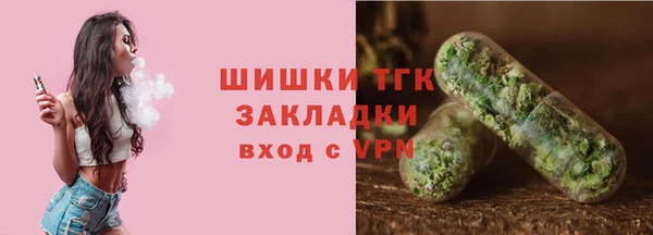 шишки Алзамай