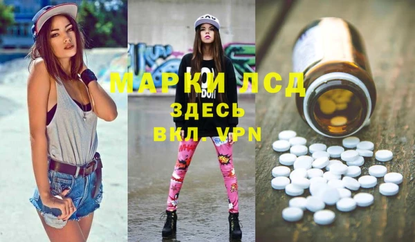 шишки Алзамай