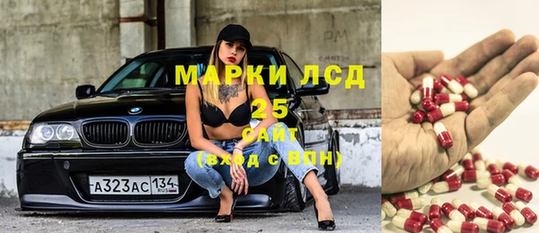 крисы Болотное