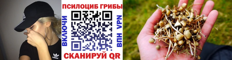 Галлюциногенные грибы ЛСД где купить наркоту Чаплыгин